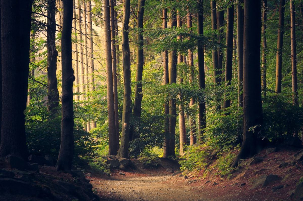 Environment